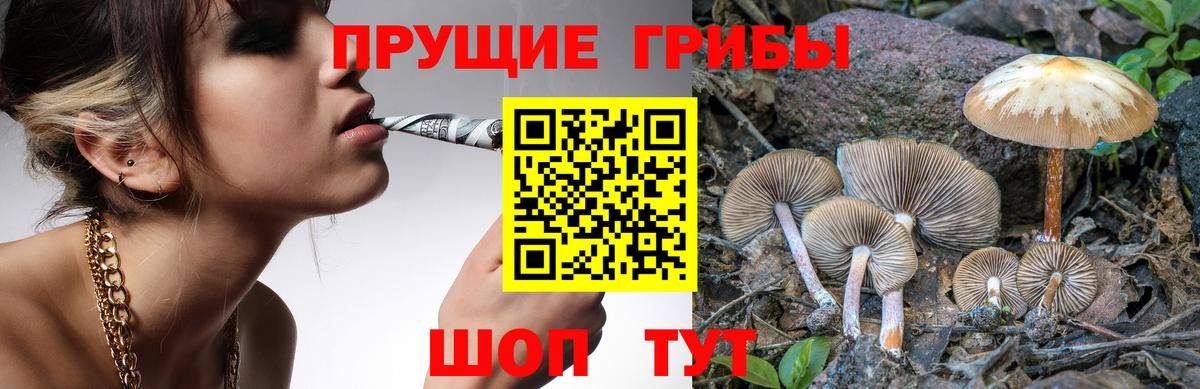 Подольск  закладки  Вход с VPN  Галлюциногенные грибы Magic Shrooms  Галлюциногенные грибы MAGIC MUSHROOMS 